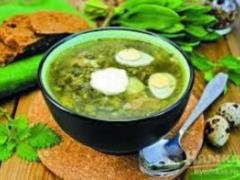 Green borsch with nettle or sorrel - which is healthier and how to cook, recipe