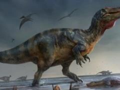 Paleontologists have discovered the remains of the largest predator in Europe