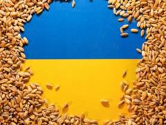 Export of Ukrainian grain is approaching 2 million tons per month