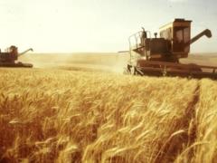 In autumn, there may not be enough warehouse space to store crops