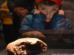 Putin Palniuret World Hunger - Timothy Snyder