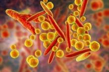 Follow-up study: zabrudnenya povitrya priyaє development of obesity