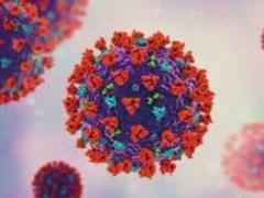 More than two-thirds of the world s population have antibodies to Covid-19 - WHO