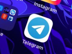 After February 24, Ukrainians began to use Telegram 8 times more