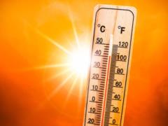 Global warming not to blame for last year s temperature record - scientists