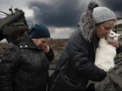In Ukraine, they want to ban the breeding of dogs and cats for sale, at least until 2028