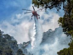 Europe fights wildfires caused by abnormal heat