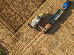 Occupants removed 15,000 tons of sunflower from Luhansk region