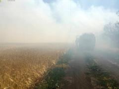 Войска РФ обстреляли Николаевскую область: сгорело более 80 гектаров пшеницы