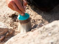 Archaeologists have discovered an Inca burial under a residential building in the capital of Peru