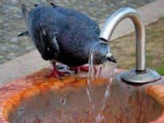 The heat in Ukraine begins to gain momentum