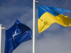 Україна поки не робитиме кроків щодо вступу до НАТО через позицію окремих країн Альянсу — ВП