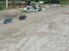 From hunger, Mariupol residents hunt pigeons