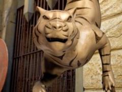 В шоу «Форт Боярд» живых тигров заменят 3D-моделями