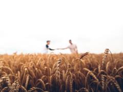 Украинцы продали земли на семь миллиардов гривен