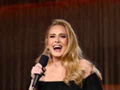 Adele saved a fan at her first concert in five years