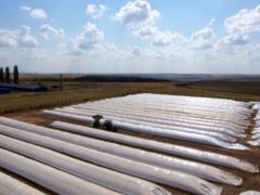 ФАО поможет решить проблему сохранности украинского зерна за японские деньги