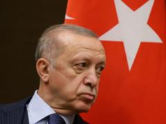 Grain corridors: Erdogan said an agreement could be reached in a week