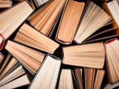 Минкультуры выступил за запрет ввоза какой-либо книжной продукции с территории России