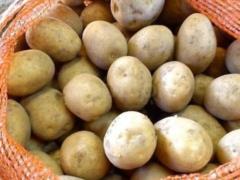 Russian successor to McDonald s can t find potatoes in Russia and changes menu