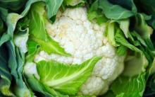 Cabbage helps to strengthen the brain cells