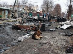 В Киевской области будут судить коллаборанта: работал псевдостаростой в Бучанском районе