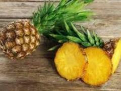 The liquor rose to whom it is bad for health to eat pineapple