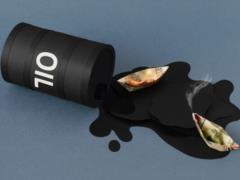 Since the beginning of the full-scale war, the Russian Federation has been supplying record volumes of oil products to the Middl