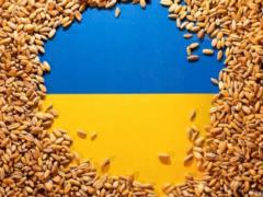 Переговоры по возобновлению экспорта украинского зерна продолжатся на следующей неделе