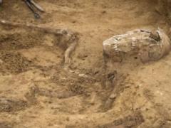 Археологи нашли в Бельгии скелеты солдат, погибших в битве при Ватерлоо