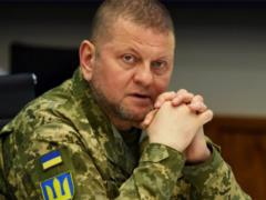 Ukraine controls every piece of weapons, - Zaluzhny