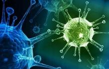 Coronavirus can cause male infertility