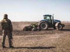 Agribusiness under martial law: how to solve problems with foreign trade contracts