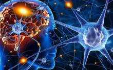 The brain is involved in the development of diabetes