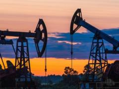 OPEC countries have every opportunity to expand oil production