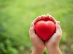Top 3 for the sake of a cardiosurgeon: what to work in the spec, so that the heart does not suffer
