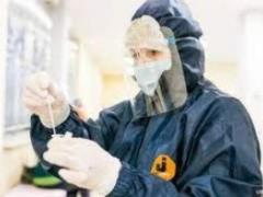 Почему не нужно беспокоиться о новом штамме Кентавр