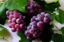 Doctors called an alcoholic drink dangerous for the heart