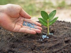 Rye and mineral fertilizers can now be exported from Ukraine