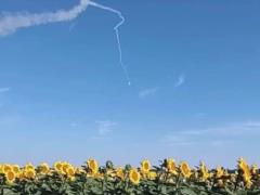 ВСУ уничтожили российский БПЛА  Птеро  в подсолнечном поле