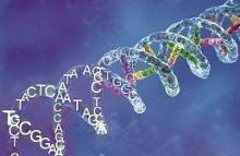 Named genes that increase the risk of developing schizophrenia