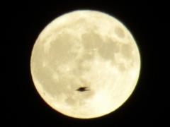 This week, the inhabitants of the Earth will be able to see the last supermoon in 2022