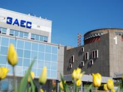 Monkey with a grenade: ISW experts once again reminded why Russia is militarizing the Zaporozhye nuclear power plant