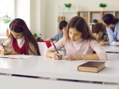 Большинство родителей выбрали для своих детей дистанционную форму обучения — опрос