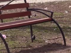 In Mariupol, the invaders placed mines on playgrounds
