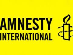 Amnesty International denies gathering information for reporting on occupation and filtration camps