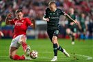 Dynamo Kyiv — Benfica: prediction for the Champions League match