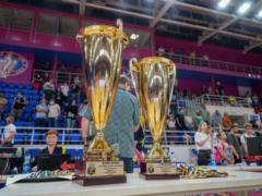 In two stages: the FBU has determined the format for the next Superleague season