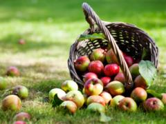 Apple Spas: what not to do on a holiday