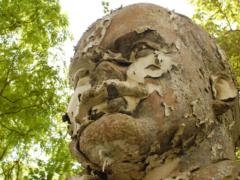 Bloomberg: Russia s war against Ukraine is an echo of the agony of the USSR